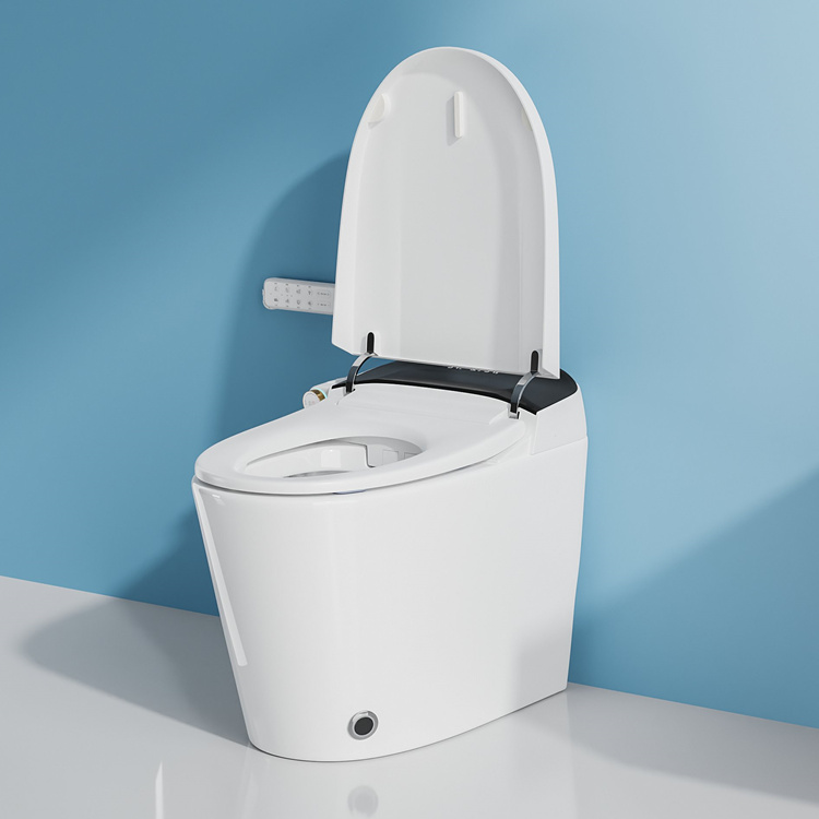 Dekoracja domu Łazienka Inteli – Home Bathroom Toilet recenzja i cena